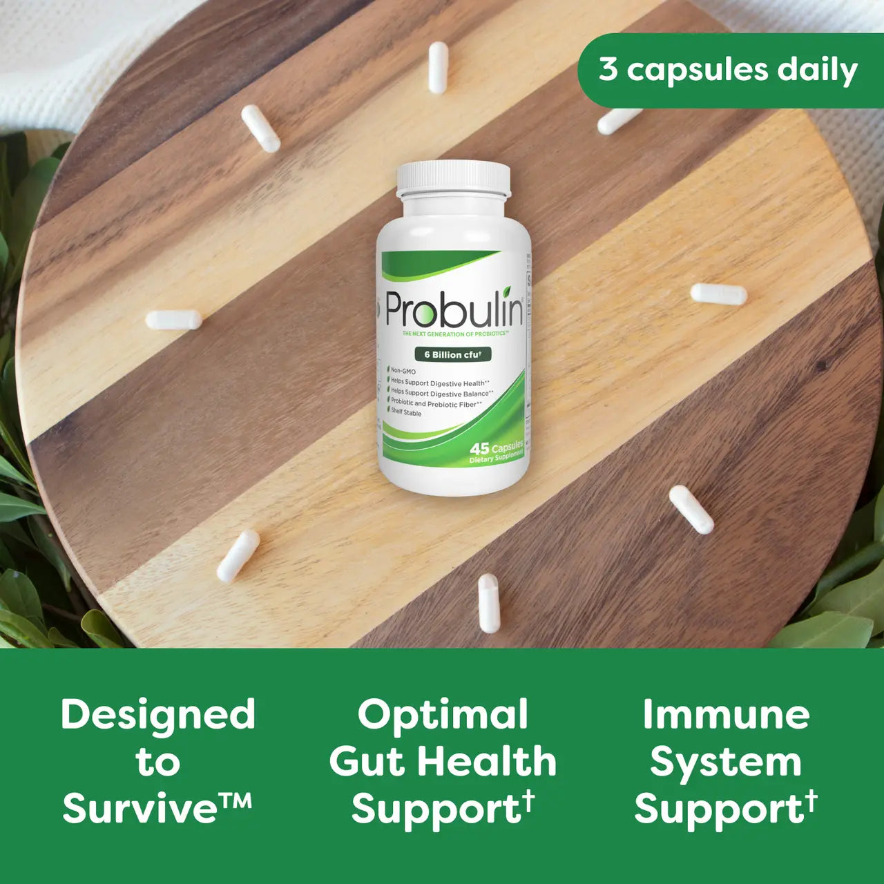 Original Formula Probiotic Capsules - 45 Count Probulin