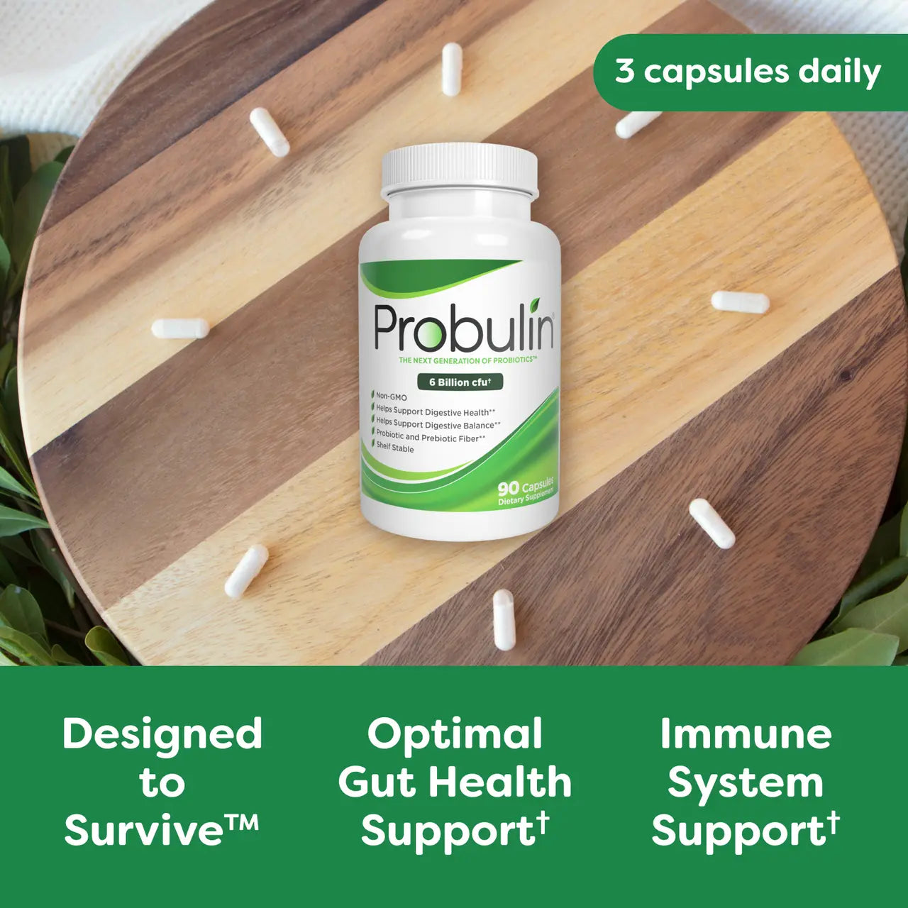 Original Formula Probiotic Capsules - 90 Count Probulin