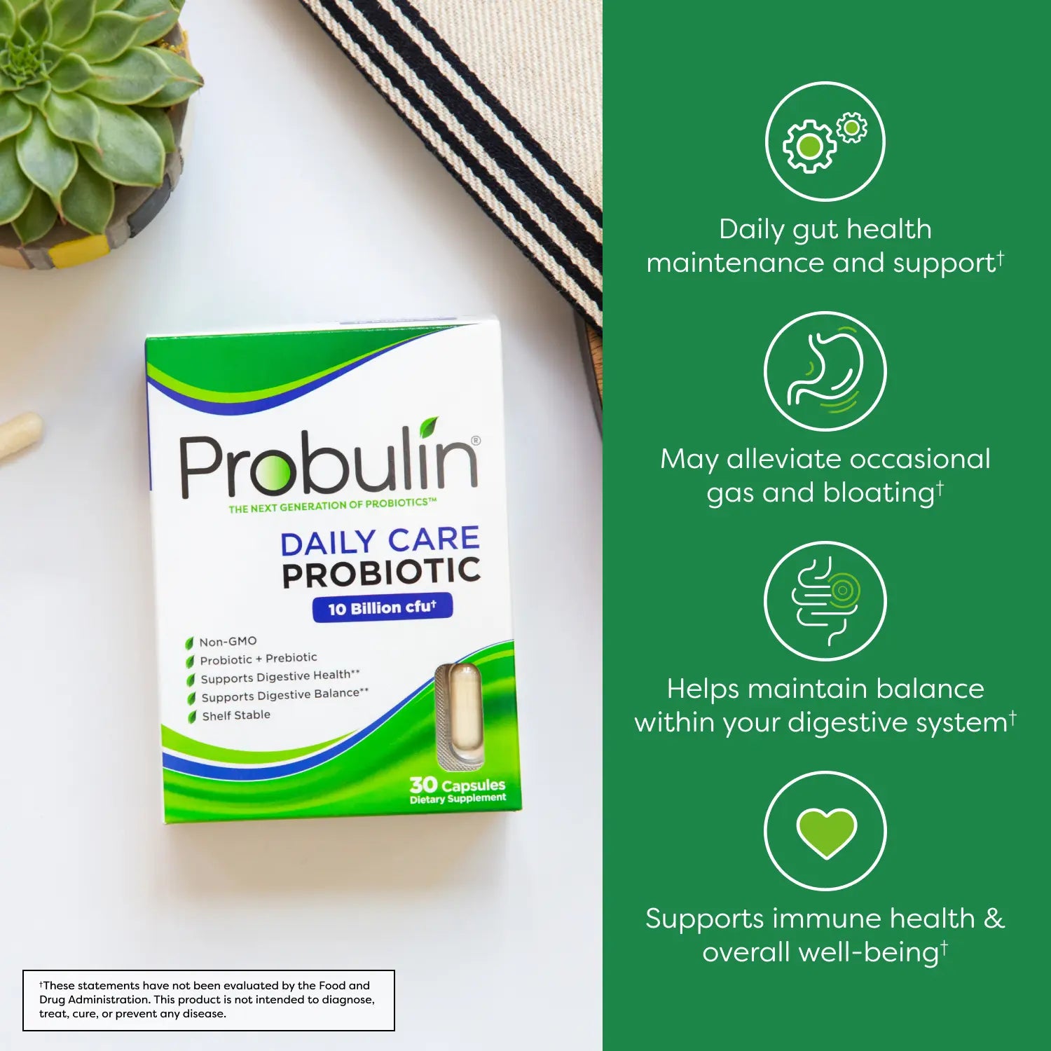 Daily Care Probiotic Capsules - 60 Count Probulin