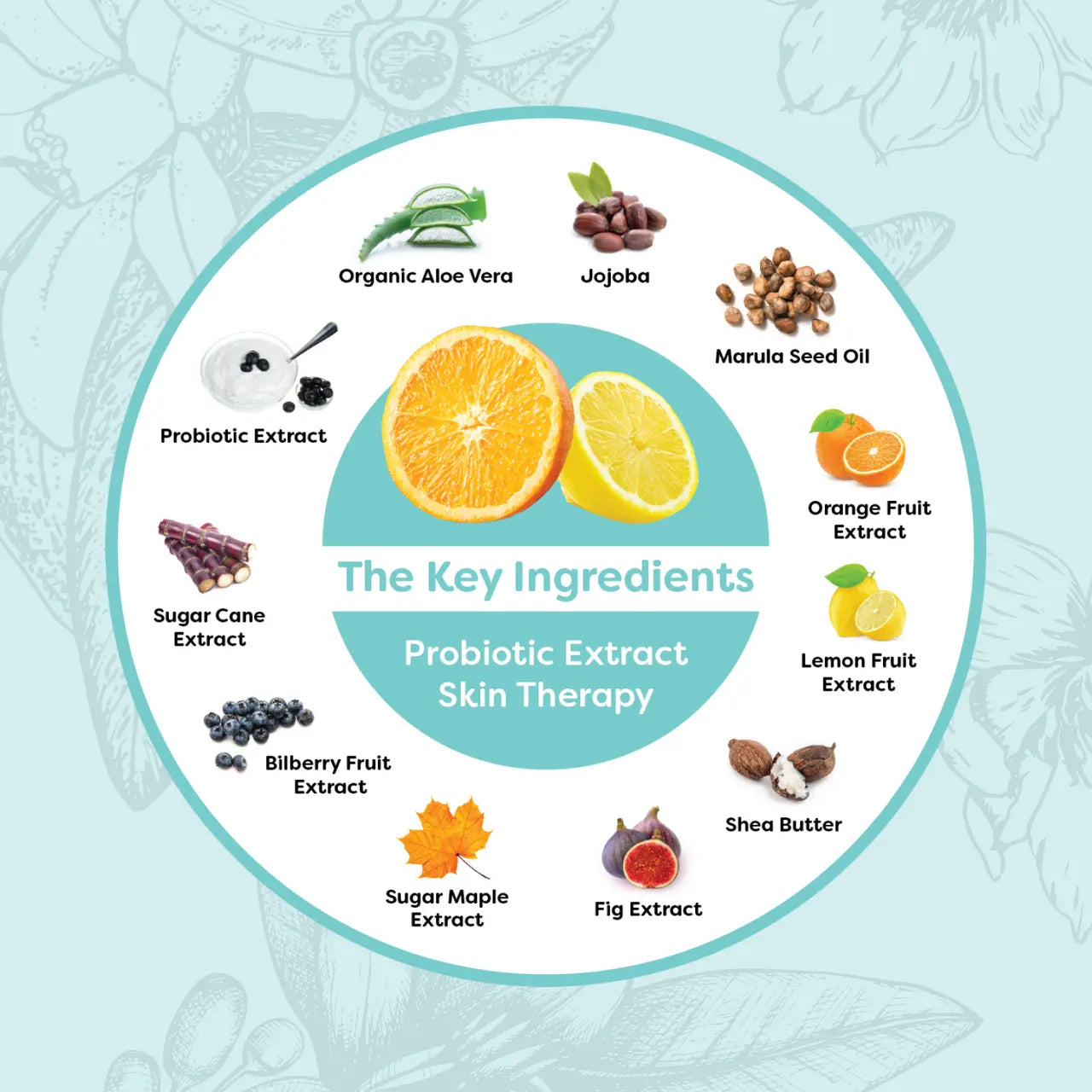 Probiotic Extract Skin Therapy 5-Pack Probulin