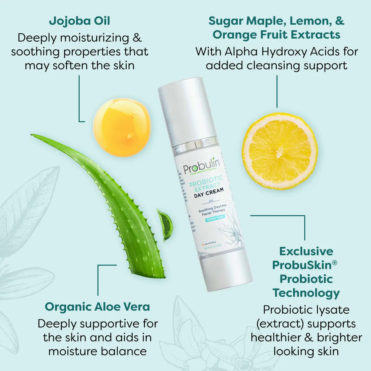 Probiotic Extract Day Cream Probulin